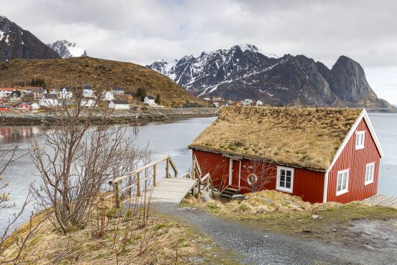 Reine