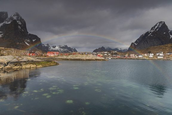 Reine