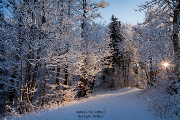 Forêt de Font d'Urle